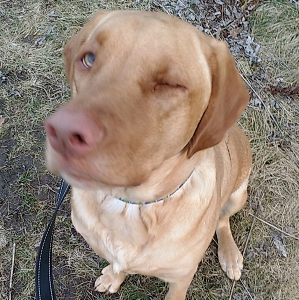 Things to know before buying from me!